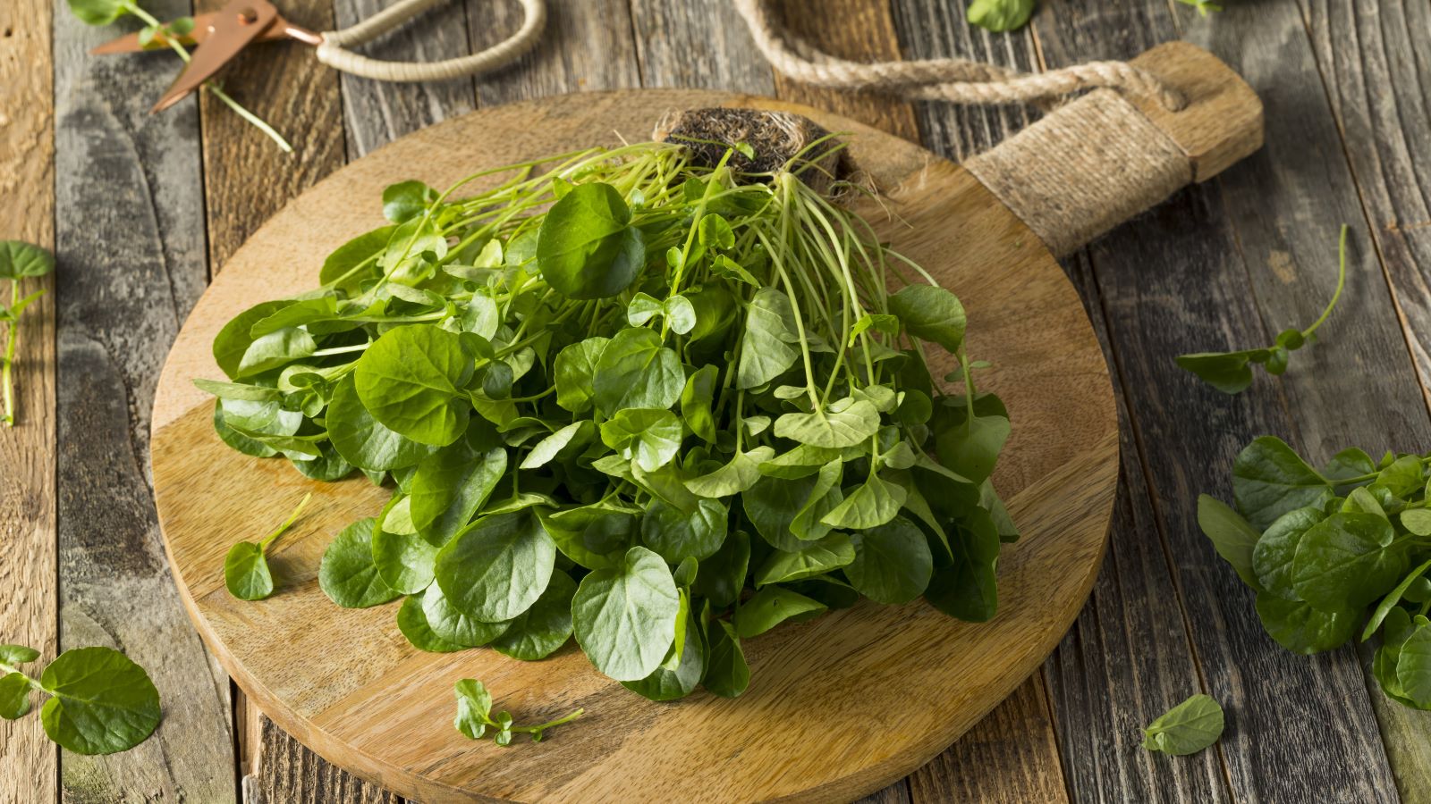 The CDC has recently named watercress the healthiest vegetable. But do the experts agree? A dietitian weighs in.