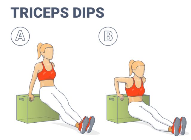 triceps dip illustration