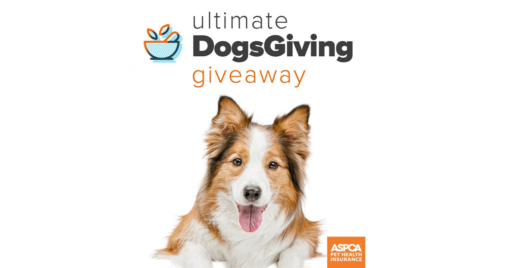 ASPCA Pet Health Insurance Makes Thanksgiving a “Dogsgiving” This Year